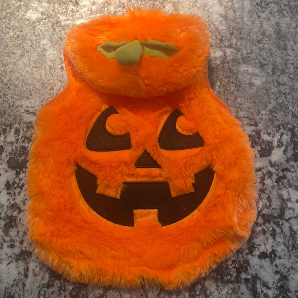 🎃 Halloween Dog Costume